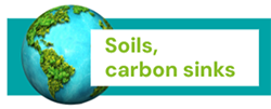 Soils, Carbon Sinks