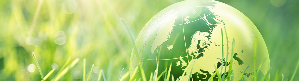 Issues and foresight