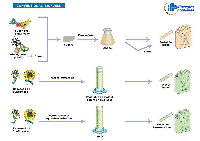 VA-Schema-Conventional-biofuels-c-IFPEN