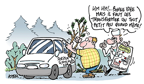 dessin Aster