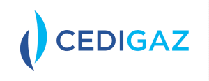 Logo Cedigaz