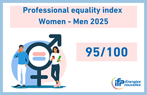 gender equality index: 95/100 