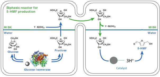 Hybrid Catalysis