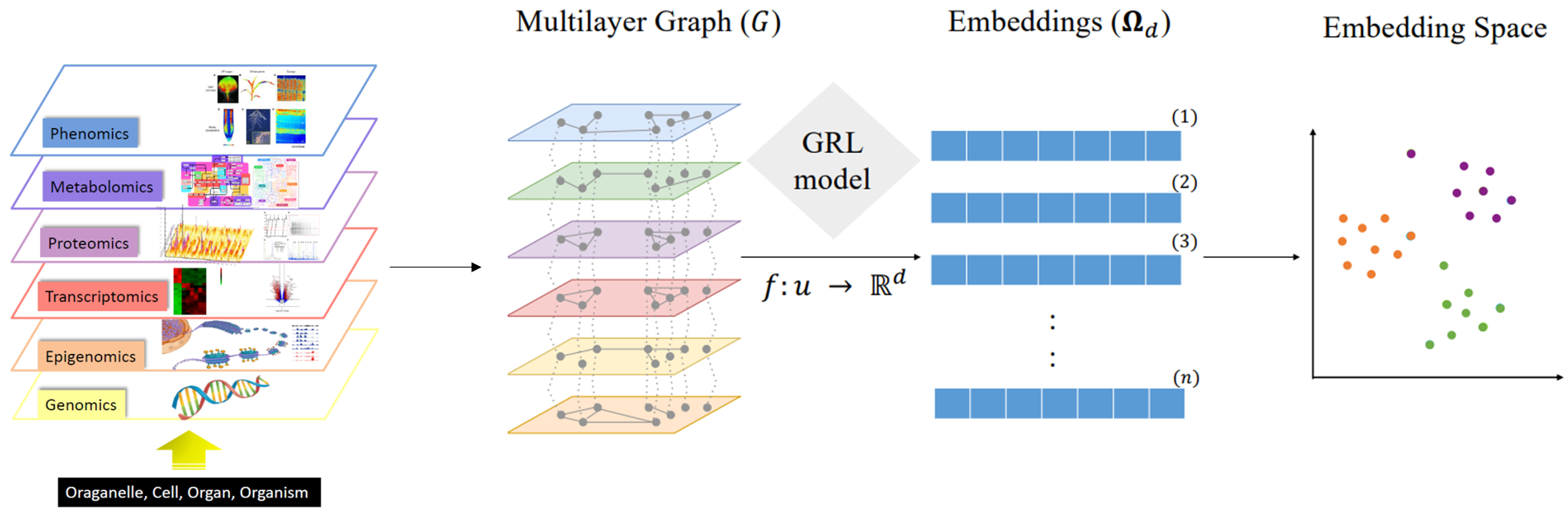 Embeddings