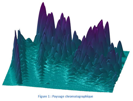Figure-1-Paysage-chromatographique.jpg