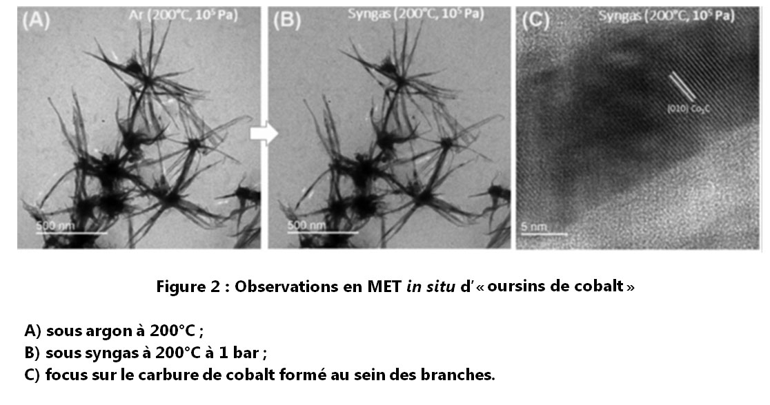 Figure-2-Fil-actu-science-these-Kassioge-Dembele