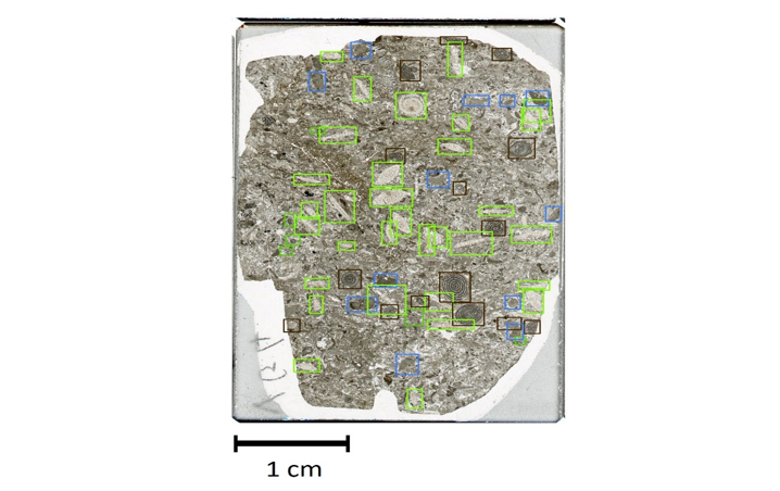 Figure 2 : Détection automatisée de microfossiles sur une lame mince de roche. 