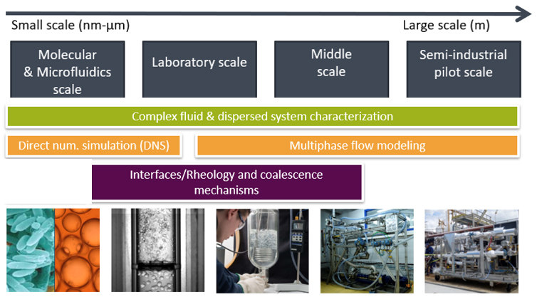 Figure: Coalescence and interfacial