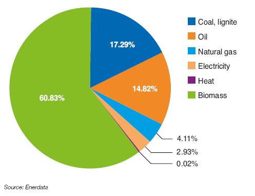 Fig. 5 – Primary energy mix in SSA in 2016