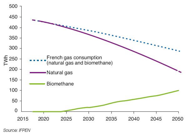 Fig. 1 – Overview of the French gas market under the “100 TWh methanization” scenario