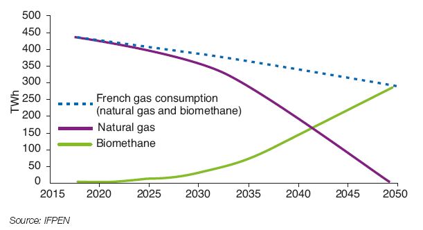 Fig. 2 – Overview of the French gas market