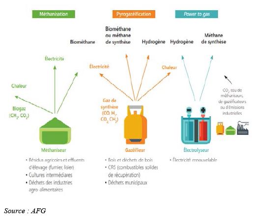 Fig. 9 - Voies de production du gaz renouvelable