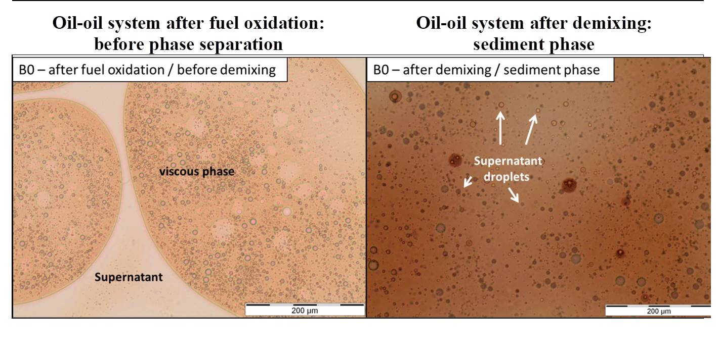 Images en microscope optique d’un diesel oxydé avant séparation de phases 