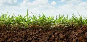 Image of soil 