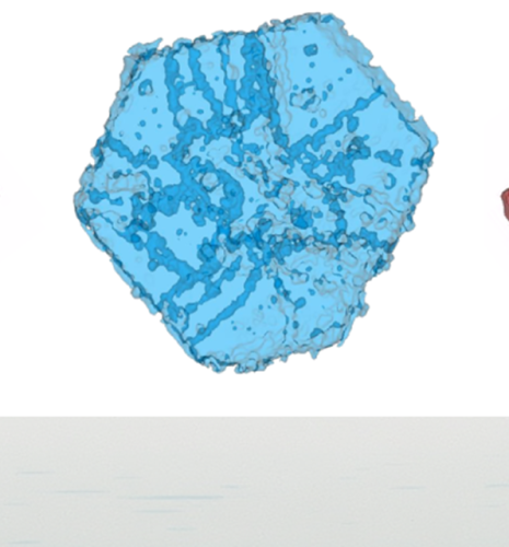 Faujasite Y zeolites