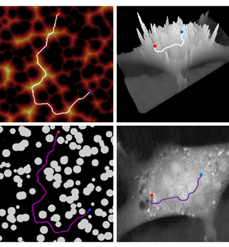 porous microstructure descriptors 