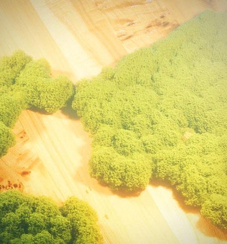 The Petroleum Evaluation of Sedimentary Basins And Thrust Belts in France (IFPEN non-exclusive regional reports)