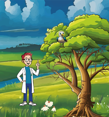 Fond de campagne avec le jeune scientifique Ziggy et son ami l'oiseau Gazouil