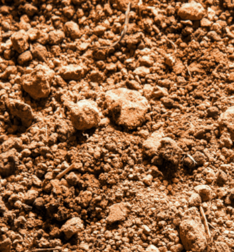 image: soil quality