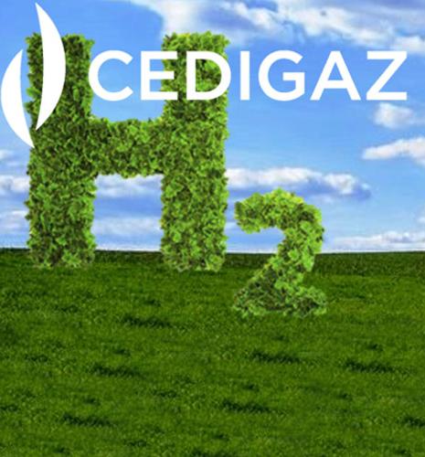 Webinar Cedigaz
