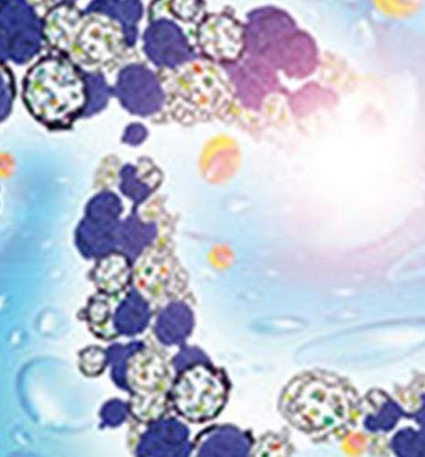 Retirer rencontres scientifiques ifp