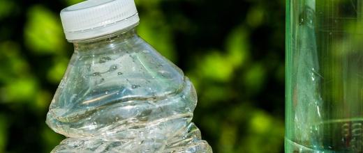 Bio-paraxylene production: on the path to 100% bio-based bottles