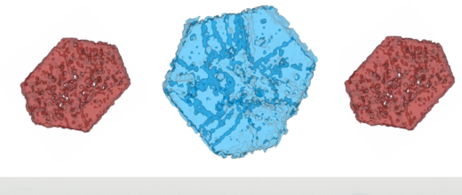 Faujasite Y zeolites