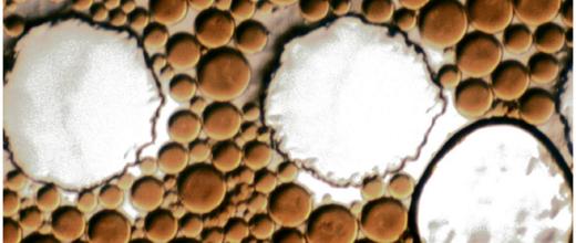 Porous media challenge scientists