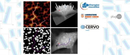 New porous microstructure descriptors based on tortuosity and accessibility