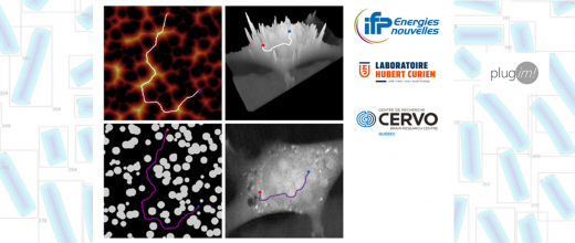 porous microstructure descriptors 