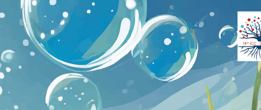 Catalysis and innovation: IFPEN at the ICC 2024 congress