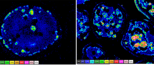 Chemical Looping Combustion (CLC)