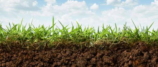 Image of soil in cross-section with a view of the earth and a view of the grass.