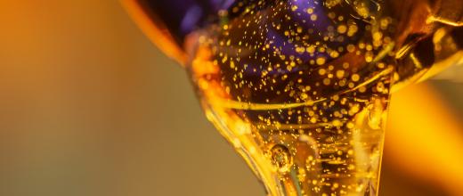 Golden liquid poured from a jar