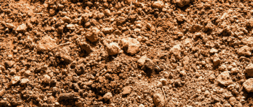 image: soil quality
