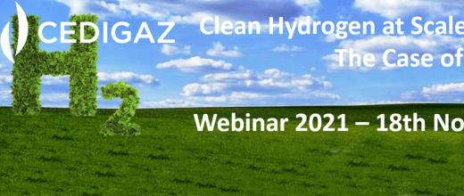Webinar Cedigaz