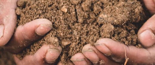 IFP Energies nouvelles and Valorhiz are teaming up to study the potential of using soils with low carbon content as carbon sinks