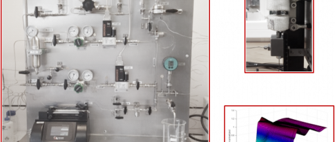 In situ characterization of the genesis of the active sites of hydrotreatment catalysts by X-ray Absorption Spectroscopy