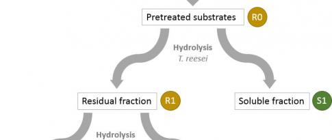 F’Unlock project: to unlock plant biomass hydrolysis using enzymes