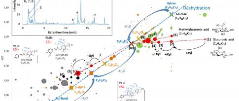 Multiplying analytical dimensions to identify bio-based molecules