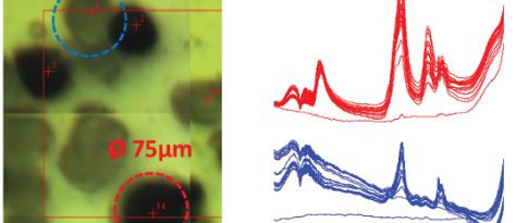 Infrared and SOLEIL: good vibrations under the microscope