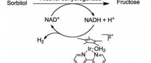 Hybrid catalysis can better deal with bio-based substances