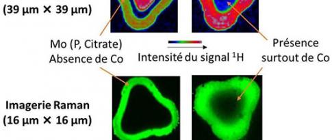 NMR and Raman imaging: impregnation of catalysts as if you were there