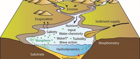 Lacustrine sedimentary series: an archive of past environmental changes to better understand the present