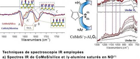 Catalyst selectivity: spectral investigations