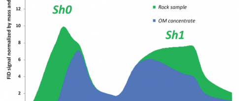 What percentage of free compounds in porous media?