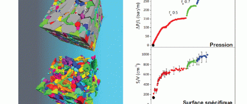 In situ study of the detailed structure of a foam flowing in a real porous medium