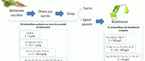 Analysis of the inorganic contaminants in bioethanol, from source to end product