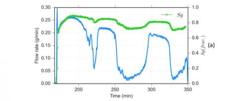 X-rays and Neutrons for imaging salt migration