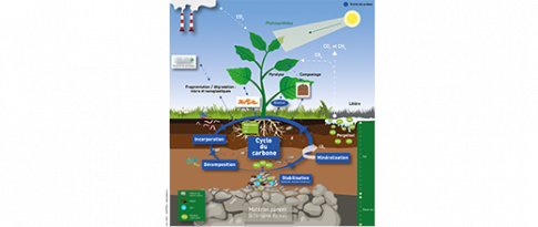 Rock-Eval®, supporting soil research for the climate challenge
